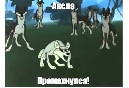 Какие