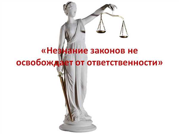 Предоставление