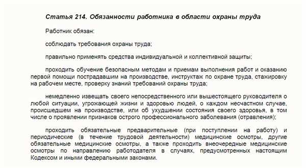 Обязанности