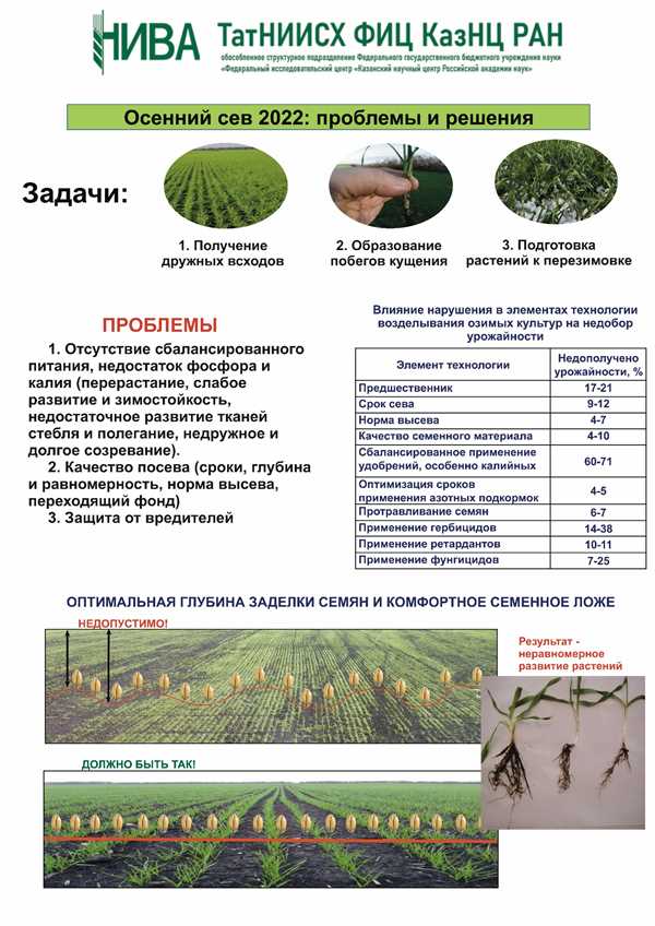 Сроки