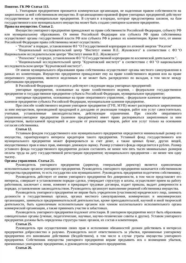 Руководитель