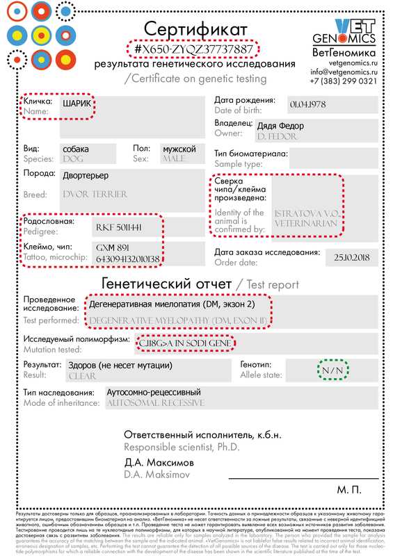 Идентификация