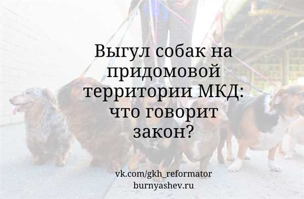 Подготовка