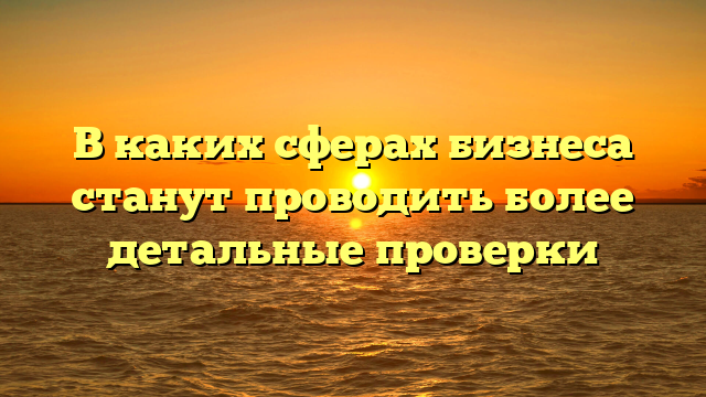 В каких сферах бизнеса станут проводить более детальные проверки