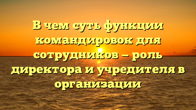 В чем суть функции командировок для сотрудников — роль директора и учредителя в организации