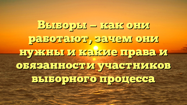 Выборы — как они работают, зачем они нужны и какие права и обязанности участников выборного процесса