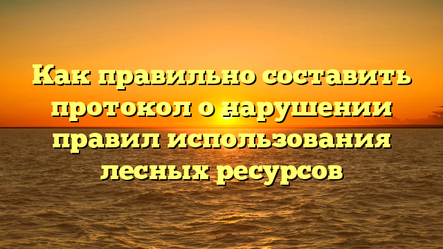 Как правильно составить протокол о нарушении правил использования лесных ресурсов