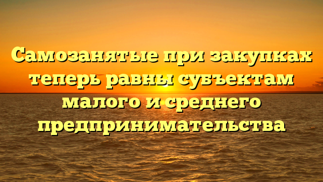 Самозанятые при закупках теперь равны субъектам малого и среднего предпринимательства
