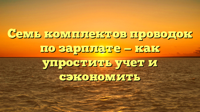 Семь комплектов проводок по зарплате — как упростить учет и сэкономить