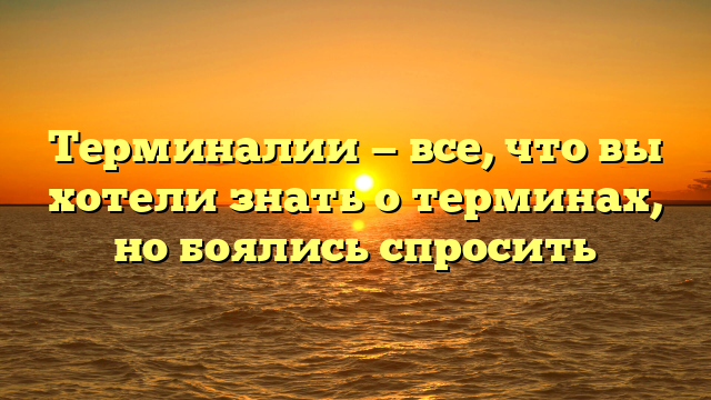 Терминалии — все, что вы хотели знать о терминах, но боялись спросить