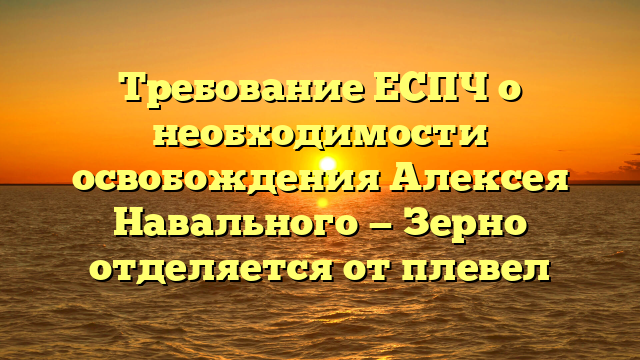 Требование ЕСПЧ о необходимости освобождения Алексея Навального — Зерно отделяется от плевел
