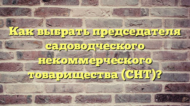 Как выбрать председателя садоводческого некоммерческого товарищества (СНТ)?