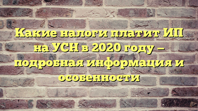 Какие налоги платит ИП на УСН в 2020 году — подробная информация и особенности