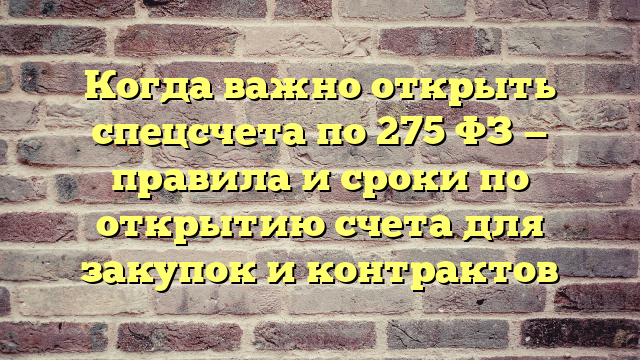 Когда важно открыть спецсчета по 275 ФЗ — правила и сроки по открытию счета для закупок и контрактов
