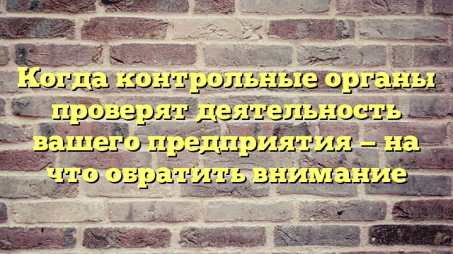 Когда контрольные органы проверят деятельность вашего предприятия — на что обратить внимание