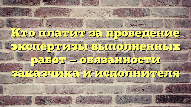 Кто платит за проведение экспертизы выполненных работ — обязанности заказчика и исполнителя