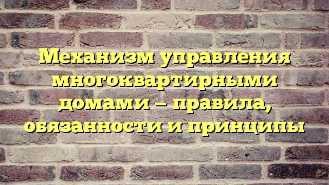 Механизм управления многоквартирными домами — правила, обязанности и принципы