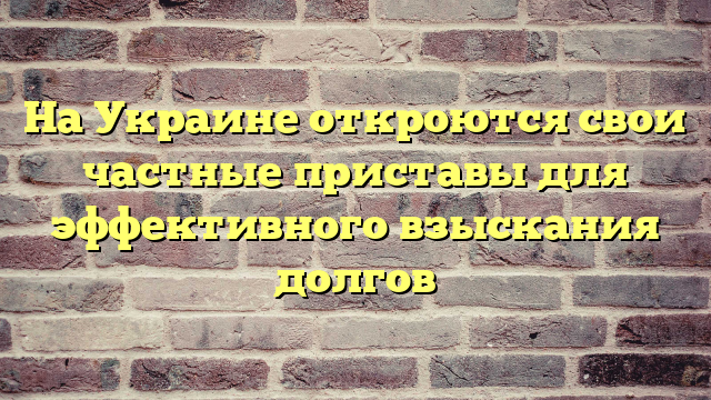 На Украине откроются свои частные приставы для эффективного взыскания долгов