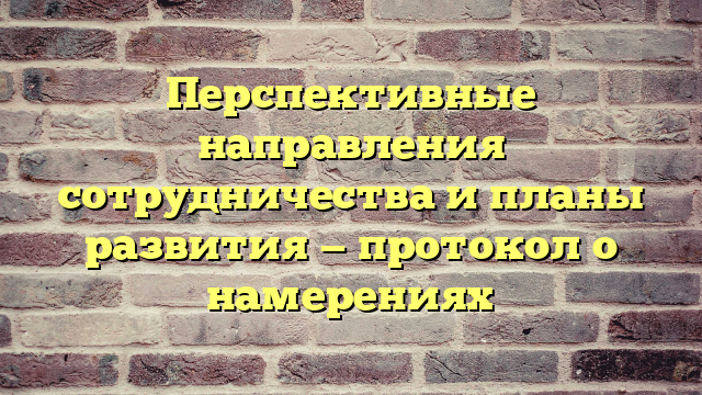 Перспективные направления сотрудничества и планы развития — протокол о намерениях