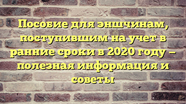 Пособие для эншчинам, поступившим на учет в ранние сроки в 2020 году — полезная информация и советы