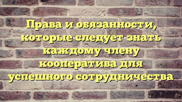 Права и обязанности, которые следует знать каждому члену кооператива для успешного сотрудничества