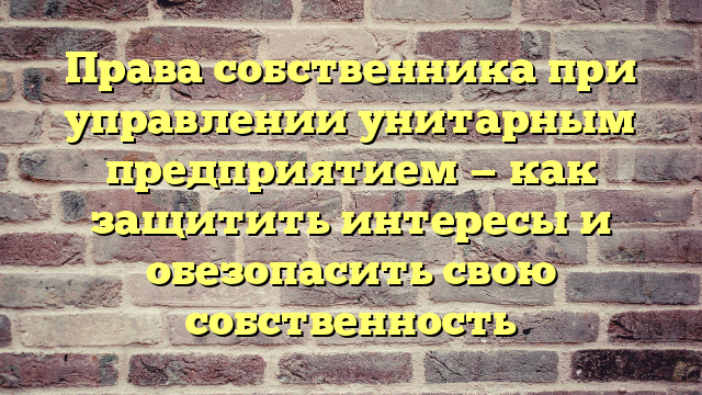 Права собственника при управлении унитарным предприятием — как защитить интересы и обезопасить свою собственность