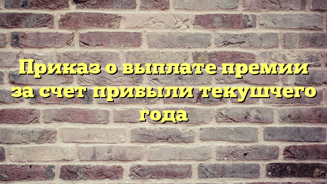 Приказ о выплате премии за счет прибыли текушчего года