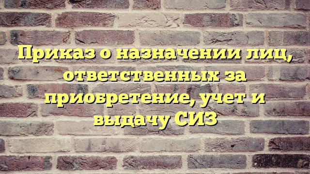 Приказ о назначении лиц, ответственных за приобретение, учет и выдачу СИЗ
