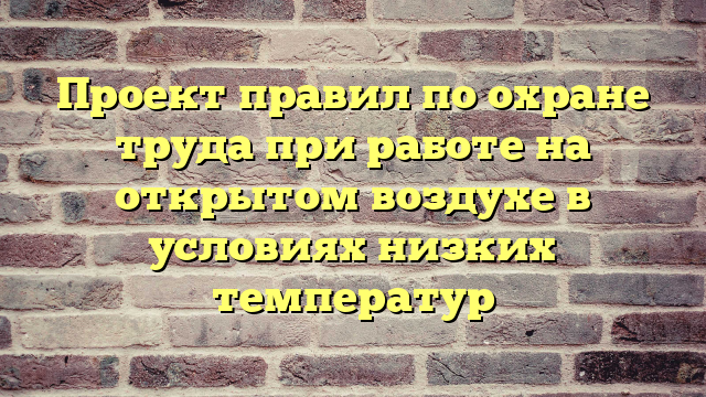 Проект правил по охране труда при работе на открытом воздухе в условиях низких температур