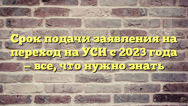 Срок подачи заявления на переход на УСН с 2023 года — все, что нужно знать