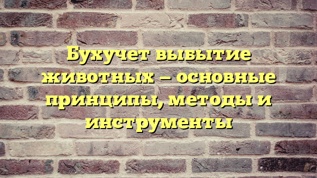 Бухучет выбытие животных — основные принципы, методы и инструменты