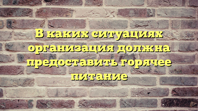 В каких ситуациях организация должна предоставить горячее питание