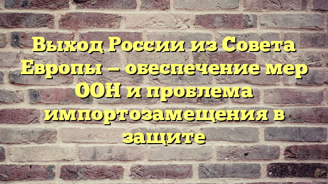 Выход России из Совета Европы — обеспечение мер ООН и проблема импортозамещения в защите