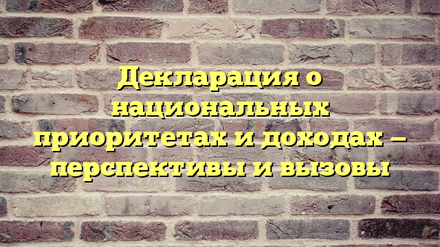 Декларация о национальных приоритетах и доходах — перспективы и вызовы