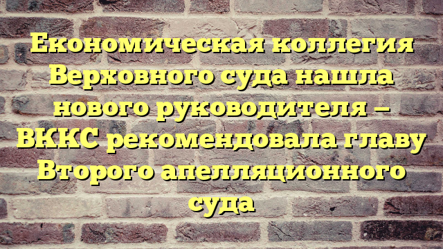 Економическая коллегия Верховного суда нашла нового руководителя — ВККС рекомендовала главу Второго апелляционного суда