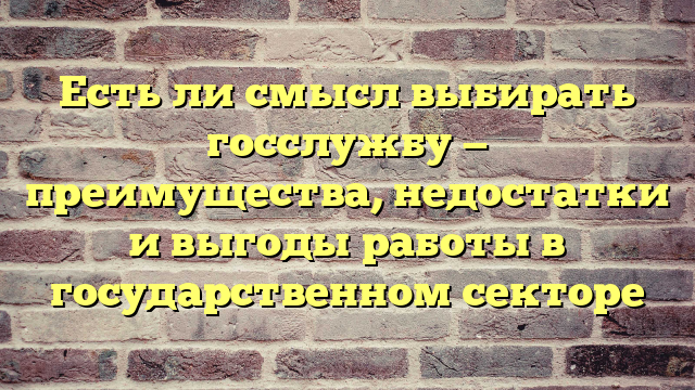Есть ли смысл выбирать госслужбу — преимущества, недостатки и выгоды работы в государственном секторе
