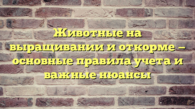 Животные на выращивании и откорме — основные правила учета и важные нюансы