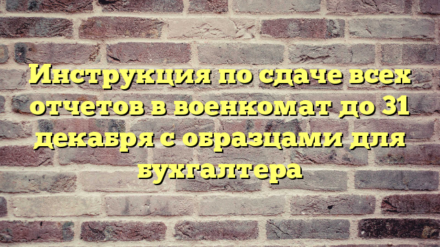 Инструкция по сдаче всех отчетов в военкомат до 31 декабря с образцами для бухгалтера