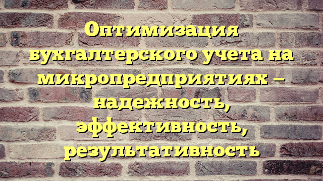 Оптимизация бухгалтерского учета на микропредприятиях — надежность, эффективность, результативность