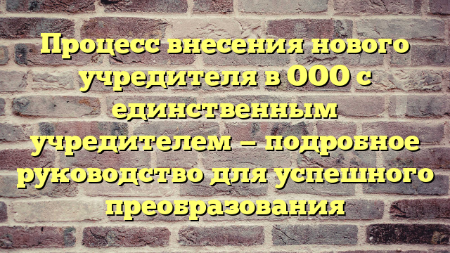 Процесс внесения нового учредителя в ООО с единственным учредителем — подробное руководство для успешного преобразования