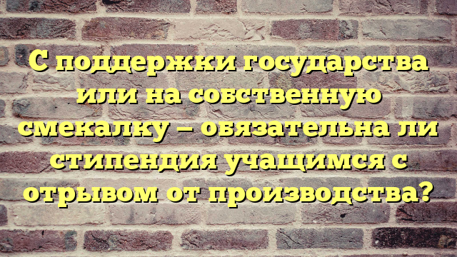 С поддержки государства или на собственную смекалку — обязательна ли стипендия учащимся с отрывом от производства?