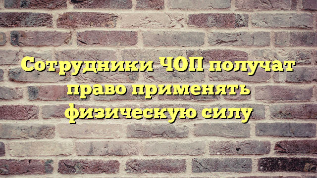 Сотрудники ЧОП получат право применять физическую силу