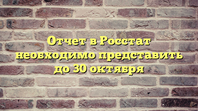 Отчет в Росстат необходимо представить до 30 октября