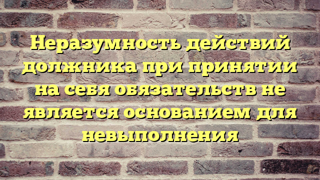 Неразумность действий должника при принятии на себя обязательств не является основанием для невыполнения