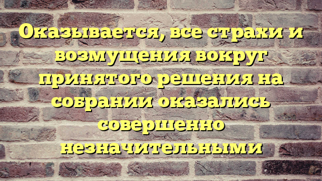 Оказывается, все страхи и возмущения вокруг принятого решения на собрании оказались совершенно незначительными