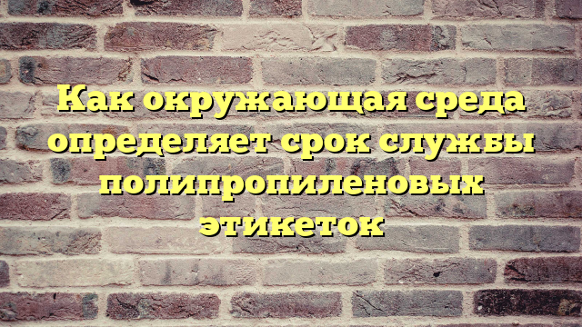 Как окружающая среда определяет срок службы полипропиленовых этикеток