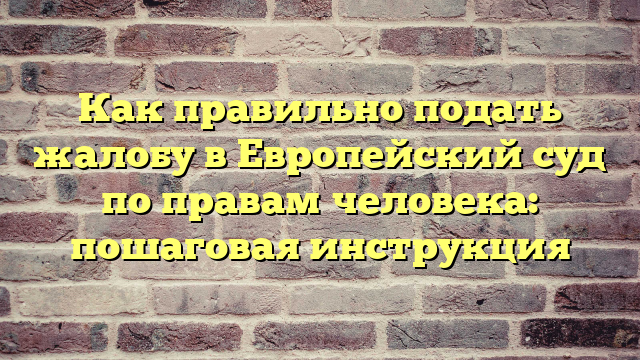 Как правильно подать жалобу в Европейский суд по правам человека: пошаговая инструкция