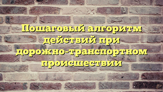 Пошаговый алгоритм действий при дорожно-транспортном происшествии