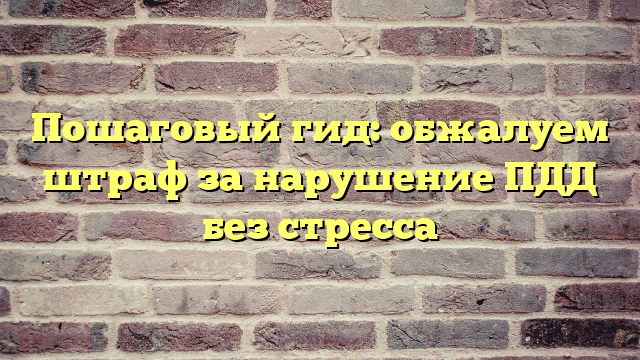 Пошаговый гид: обжалуем штраф за нарушение ПДД без стресса