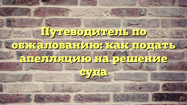 Путеводитель по обжалованию: как подать апелляцию на решение суда